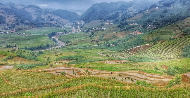 Един българин във Виетнам: Бръмбазък, мотор и оризови тераси