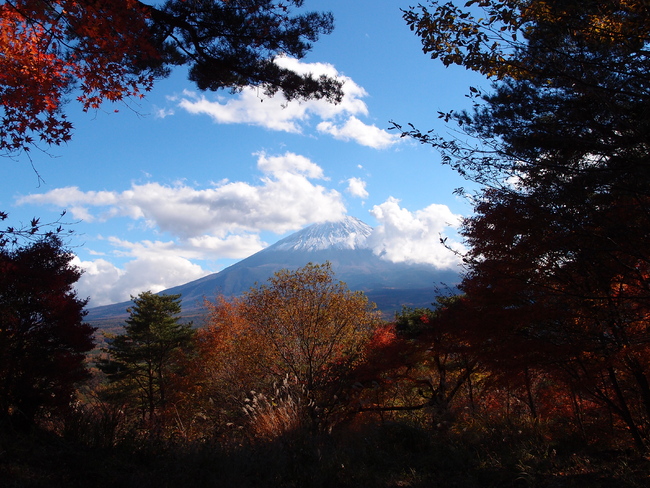 Мистериозната гора на самоубийците в Япония