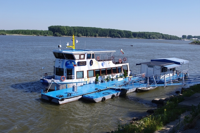 Видин – на Дунава вечен страж