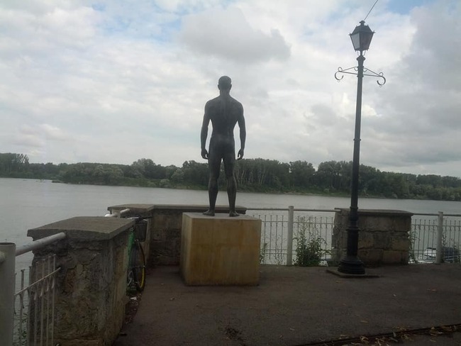 Видин – на Дунава вечен страж