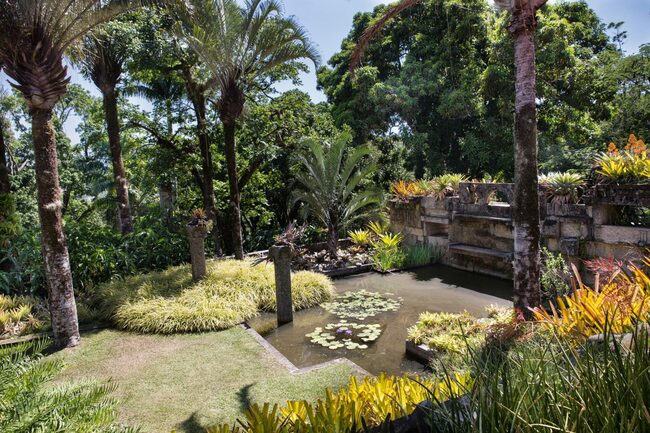 Вижте 6 от най-впечатляващите градини в света