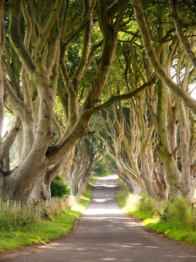 Един вълшебен път в Ирландия