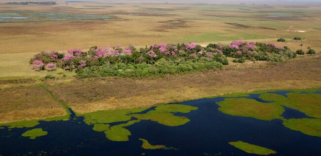 Нов национален парк отвори врати в Аржентина
