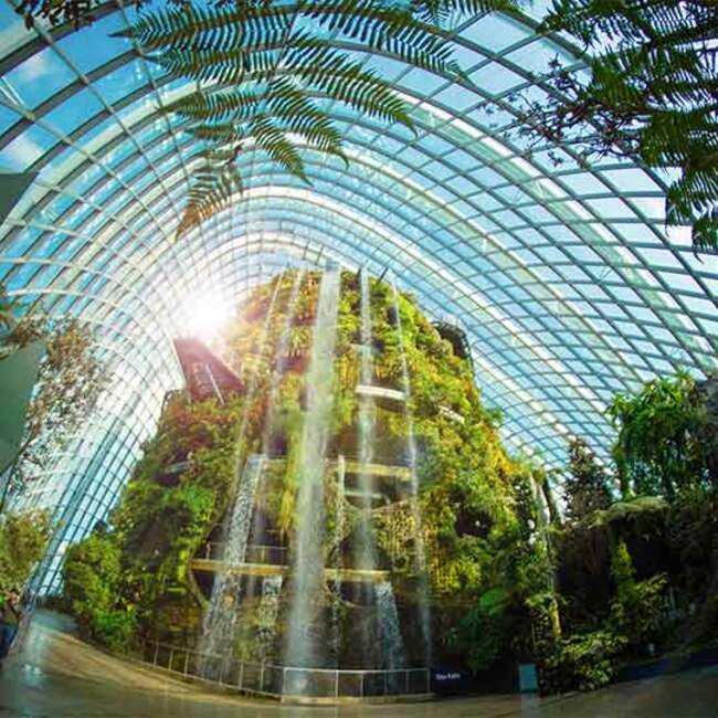 Необикновено съчетание на модерна архитектура и тропически растения в Сингапур