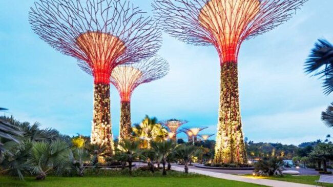 Необикновено съчетание на модерна архитектура и тропически растения в Сингапур