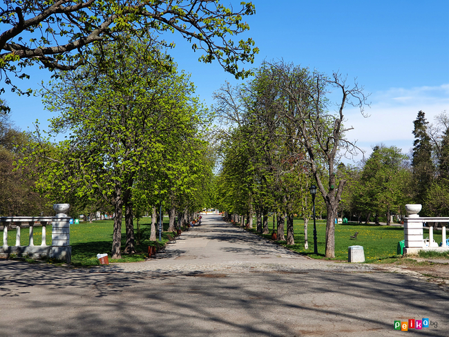 Опознай градския парк - Борисовата градина в София