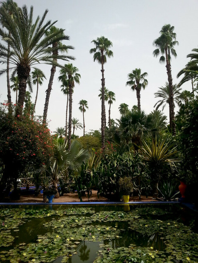 Градината на Мажорел – любимото място на Ив Сен Лоран