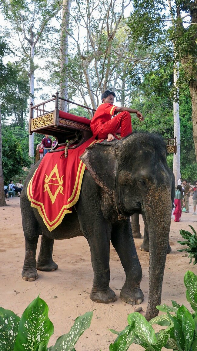 Най-известната туристическа атракция на Камбоджа вече е забранена