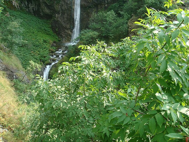 Кратка разходка в подножието на Рила: Овчарченски водопад “Горица”