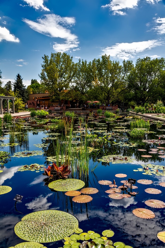 Най-красивите ботанически градини в света