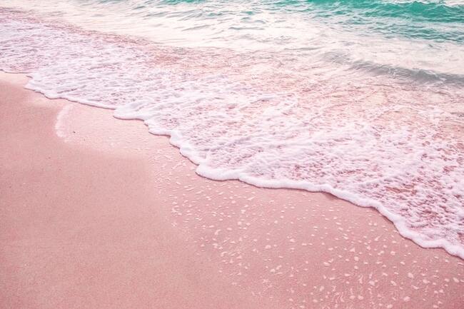 Розови места, които биха били идеалния интериор за снимка в Instagram