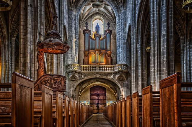 5 неща, които може да не знаете за реставрацията на катедралата Нотр Дам