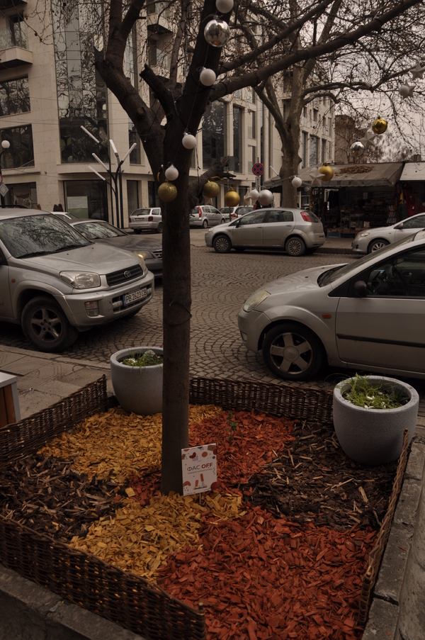 Коледна магия: Сдружение разкраси дървета от улица Иван Вазов в Пловдив