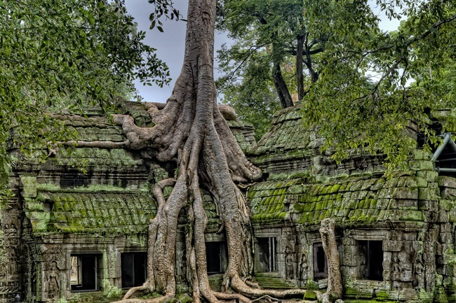 Ангкор, Камбоджа - храмовете, погълнати от джунглата