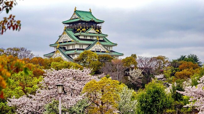 Ханами (гледане на вишневите цветове в Япония)