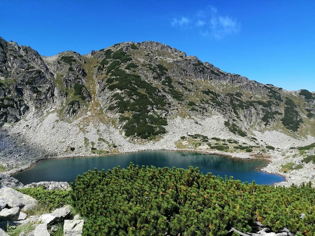 Любопитни факти за Рила, най-високата планина в България