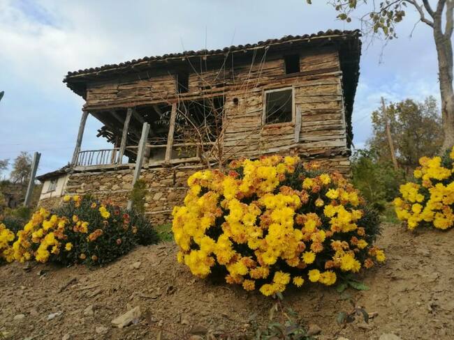 Село Долене, спокойствие в полите на Огражден