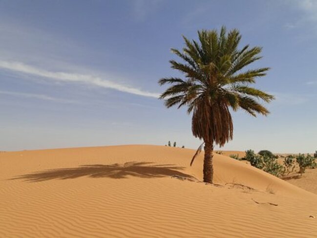 Интересни факти за Мавритания