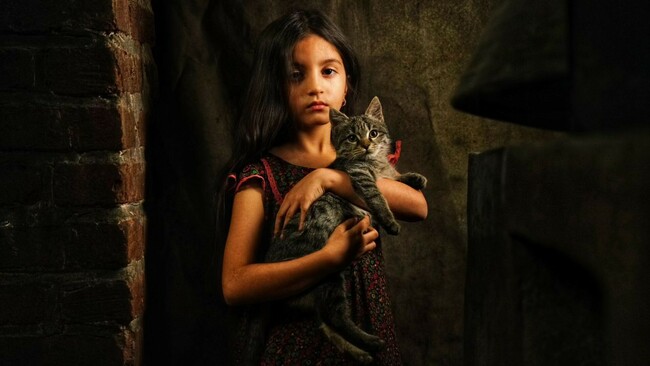 Фестивалният фаворит „Един тъжен и красив свят” открива Sofia MENAR