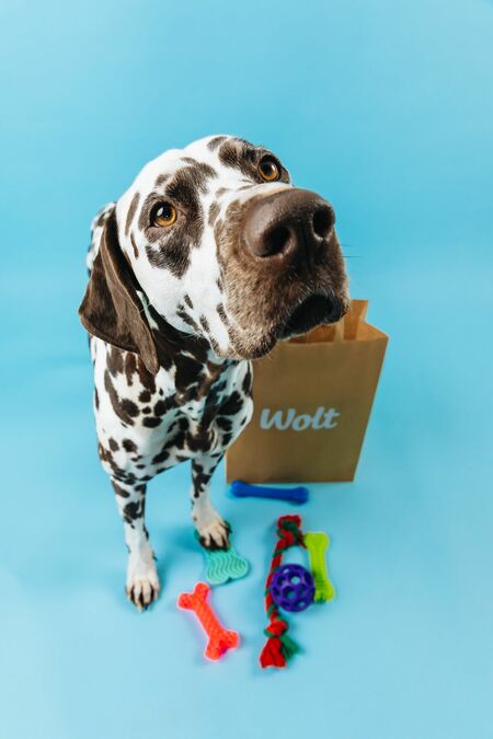 От Деня на Свети Валентин до Лапентин – любов през цялата година